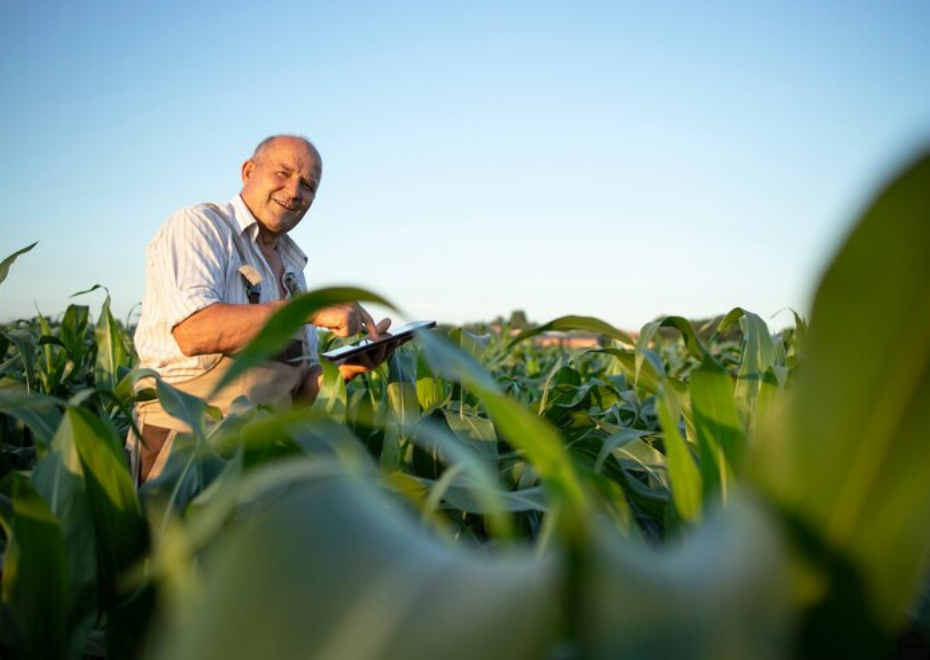 COMO O DIREITO BANCÁRIO TRATA A EXECUÇÃO DE GARANTIAS NO CRÉDITO RURAL E COMO PROTEGER SEUS DIREITOS