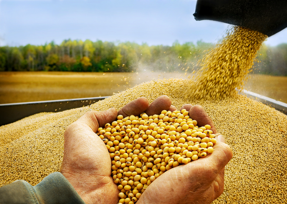 QUAIS SÃO AS GARANTIAS MAIS COMUNS UTILIZADAS NOS CONTRATOS DE CRÉDITO RURAL?